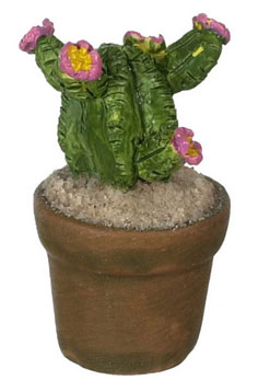 FCA2479 - Cactus