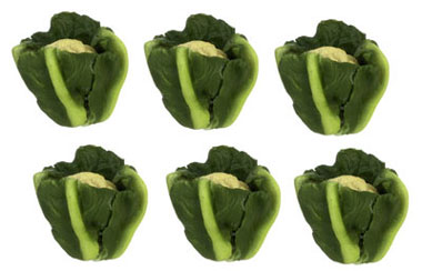 FCA2678 - Cauliflower, 6Pc