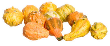 FCA3075 - Discontinued: Assorted Squash, 11Pc