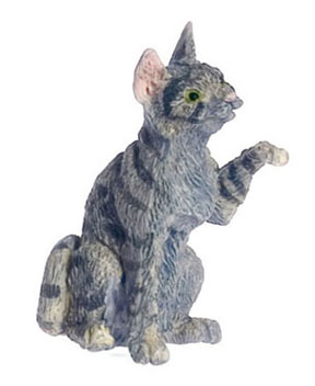 FCA3455GY - Cat, Gray