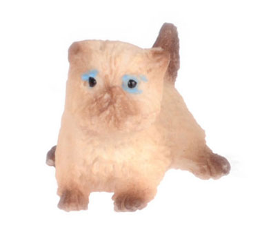 FCA4144SB - Persian Kitten, Siamese Brown