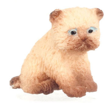 FCA4161SB - Persian Kitten, Siamese Brown