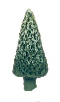 FCA4291S - Pine Tree 1/2&#39; H, 6 Pcs