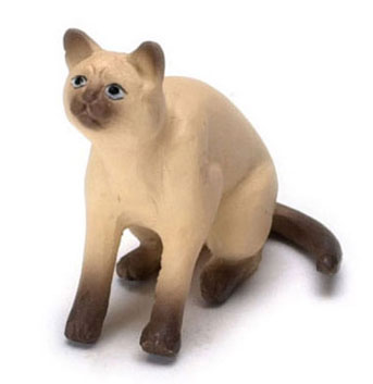 FCA72SB - Discontinued: Cat, Siamese Brown