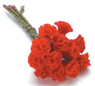 FCAB8043RD - Large Carnation 1 Doz, Red