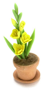 FCAB8045 - Gladiolus In Clay Pot, Yellow