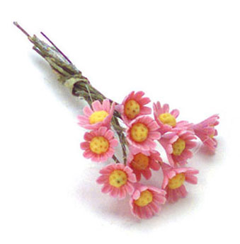 FCAB8071PK - Perennials 1 Doz Pink