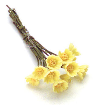 FCAB8071YW - Perennials, 1 Doz, Yellow