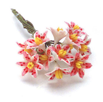 FCAB8075PK - Tiger Lily, 1 Doz, Pink