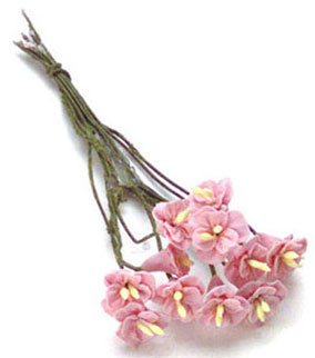 FCAB8138PK - Camellias, 12 Pcs, Pink