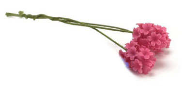 FCAB8140HP - Hyacinthus, 3Pcs, Hot Pink
