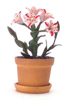 FCAB8175 - Magic Pink Lilies In Pot