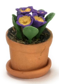 FCAB8188PP - Primula In Pot, Purple