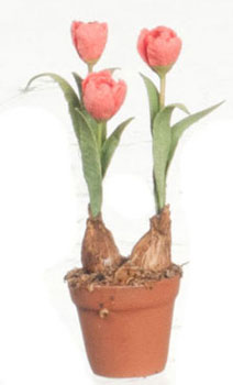 FCMR1026F - Tulips In Terra Cotta Pot, Cr