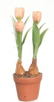 FCMR1026H - Tulips In Terra Cotta Pot, Pc