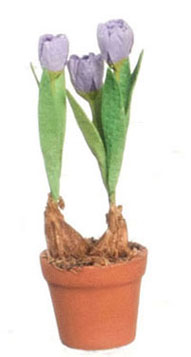 FCMR1026I - Tulips In Terra Cotta Pot, Lv