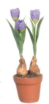 FCMR1026J - Tulips In Terra Cotta Pot, Pp