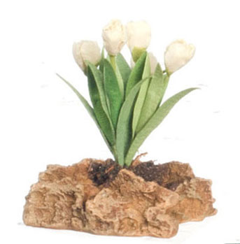 FCMR1027B - Tulips Plant On The Rock, Gn