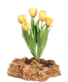 FCMR1027C - Tulips Plant On The Rock, Yw