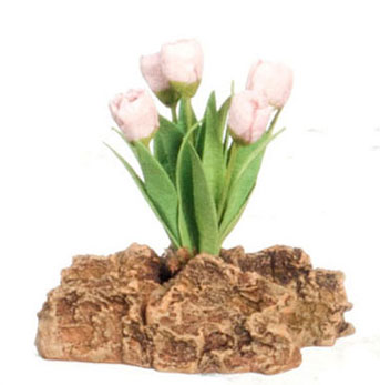 FCMR1027D - Tulips Plant On The Rock, Pk