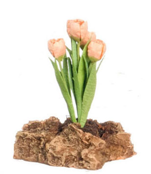 FCMR1027H - Tulips Plant On The Rock, Pc