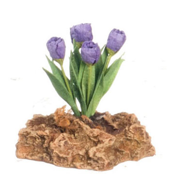 FCMR1027J - Tulips Plant On The Rock, Pp