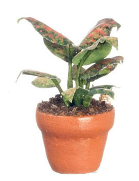 FCMR1042 - Green Plants