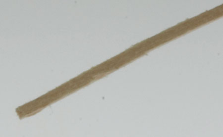 HH3001 - Stripwood: 1/32 X 1/16, 24 Inches