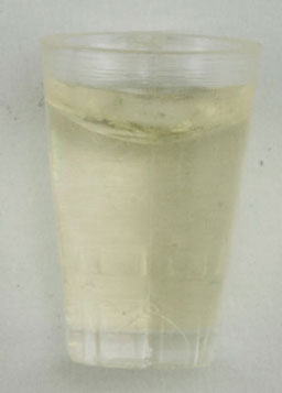 HR60017 - Water Glass