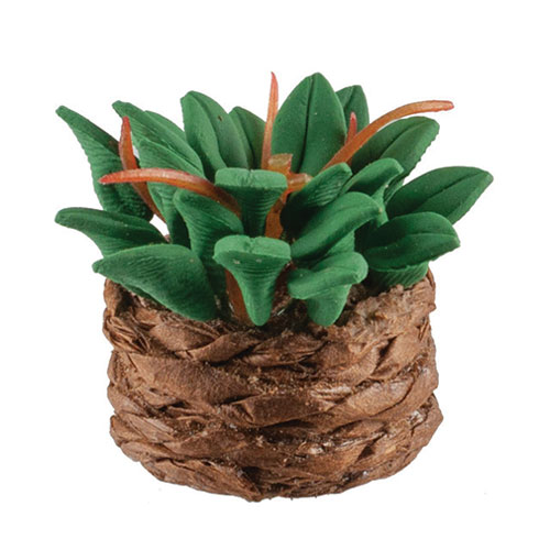 HW85033 - Leafy Green Plant In Basket