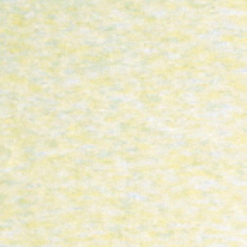 HW7921 - Discontinued: Foamback Carpet: Off White, 12 X 14