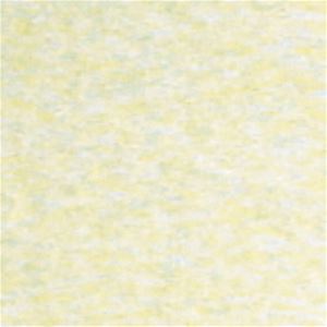 HW7921 - Foamback Carpet: Off White, 12 X 14