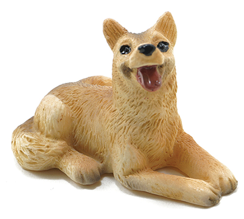 IM65284 - German Shepard  ()