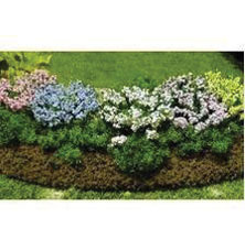 MBGDB1 - Garden Delights with Bed, P/B/W, 1 Bed