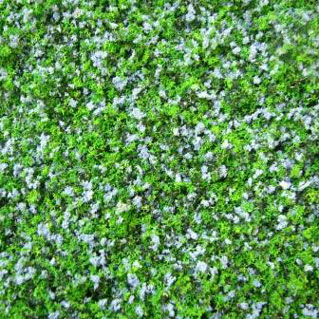 MBGGBL - Garden Growies, Blue