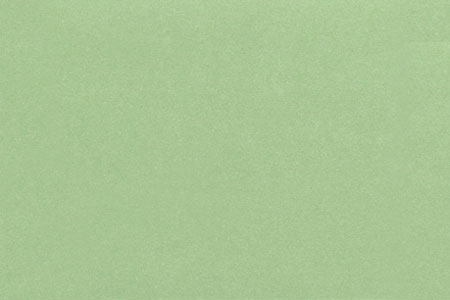MG194D2 - Wallpaper, 3pc: French Bouquet, Celery