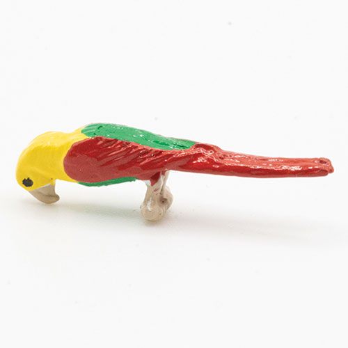 MUL2117 - Parrot