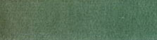NC2005L - Carpet: Sea Spray 14 X 20