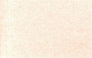 NC2036SM - Carpet: Peach Mist 12 X 14