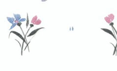 NC78202 - Prepasted Wallpaper, 3 Pieces: Blue/Mauve Floral Sprays
