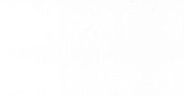NCR401 - 2 Oz Ceiling White Paint 2 Oz