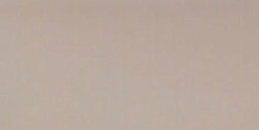 NCR418 - 2 Oz Paint Meadowlark