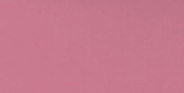 NCR424 - 2 Oz Paint Canterbury Rose