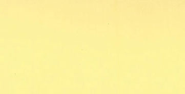 NCR454 - 2 Oz Paint Golden