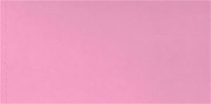 NCR525 - 8 Oz Paint Pink Pink