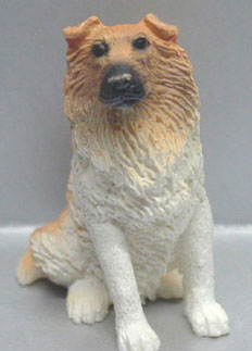 NCRA0178 - Discontinued: Collie-White/Sable, Sitting
