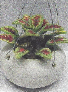 NCRP0111 - Greenery-Hanging