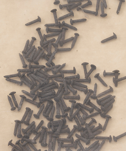 OLDN201 - Small Nails, 100