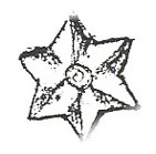 OLDS410 - Large Star ( 4 Per Pack)