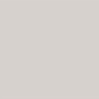 PP21204 - 2 Oz Soft Gray Satin Semigloss (804)